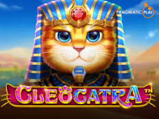 Cool cat casino bonus codes 2023 {TDAWU}13